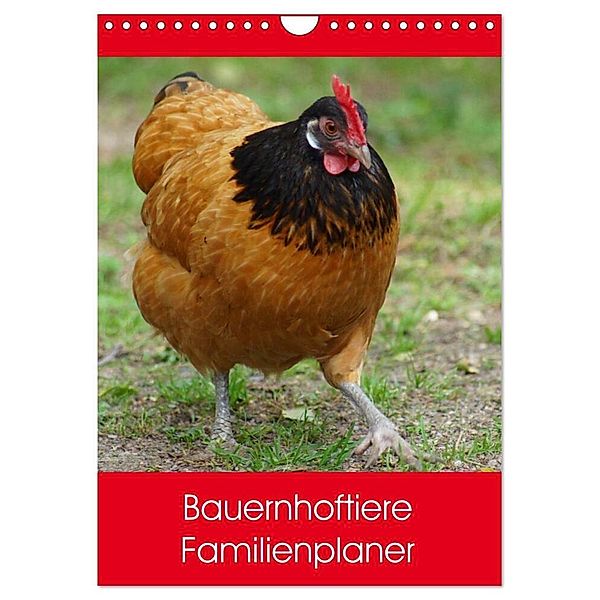 Bauernhoftiere Familienplaner (Wandkalender 2024 DIN A4 hoch), CALVENDO Monatskalender, Kattobello