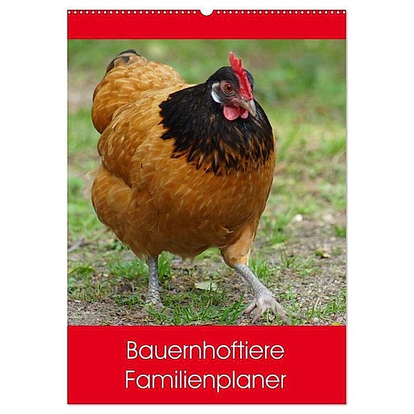 Bauernhoftiere Familienplaner (Wandkalender 2024 DIN A2 hoch), CALVENDO Monatskalender, Kattobello