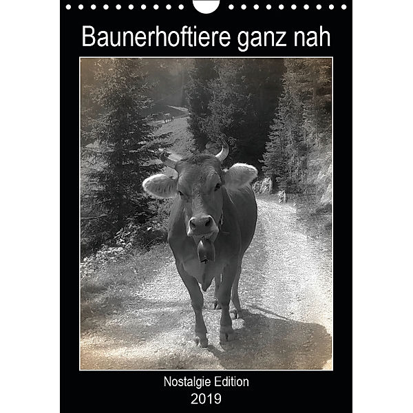 Bauernhoftiere ganz nah - Nostalgie Edition (Wandkalender 2019 DIN A4 hoch), kattobello