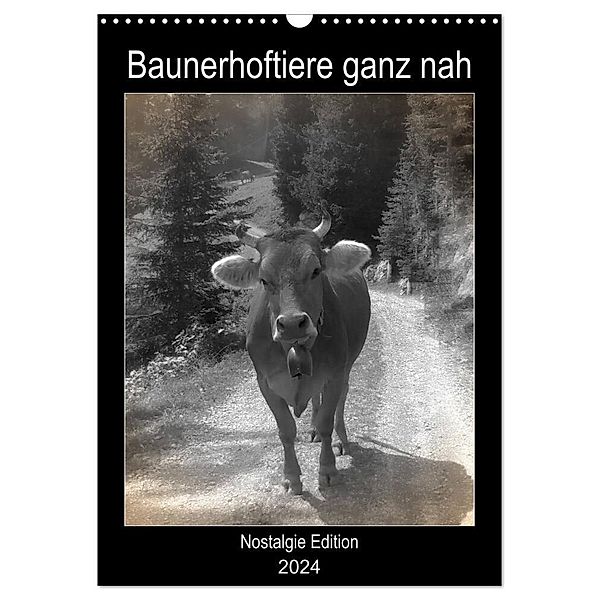 Bauernhoftiere ganz nah - Nostalgie Edition (Wandkalender 2024 DIN A3 hoch), CALVENDO Monatskalender, Kattobello