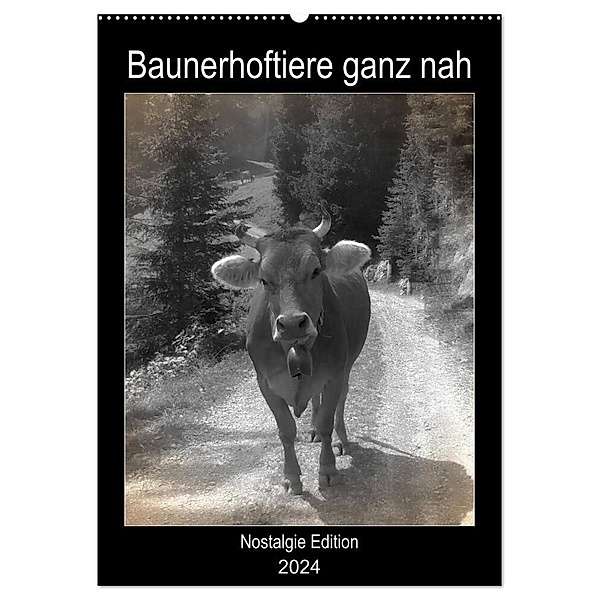 Bauernhoftiere ganz nah - Nostalgie Edition (Wandkalender 2024 DIN A2 hoch), CALVENDO Monatskalender, Kattobello