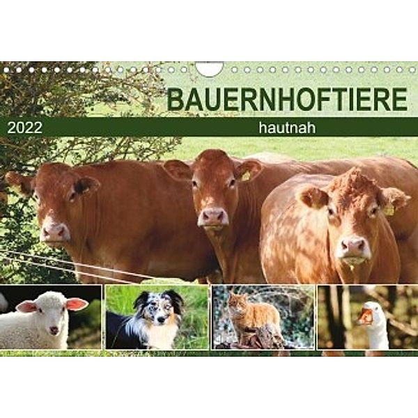Bauernhoftiere hautnah (Wandkalender 2022 DIN A4 quer), Sabine Löwer