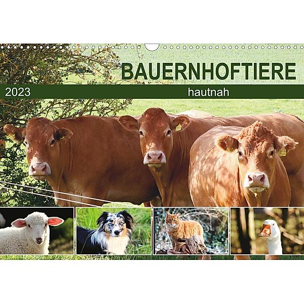 Bauernhoftiere hautnah (Wandkalender 2023 DIN A3 quer), Sabine Löwer