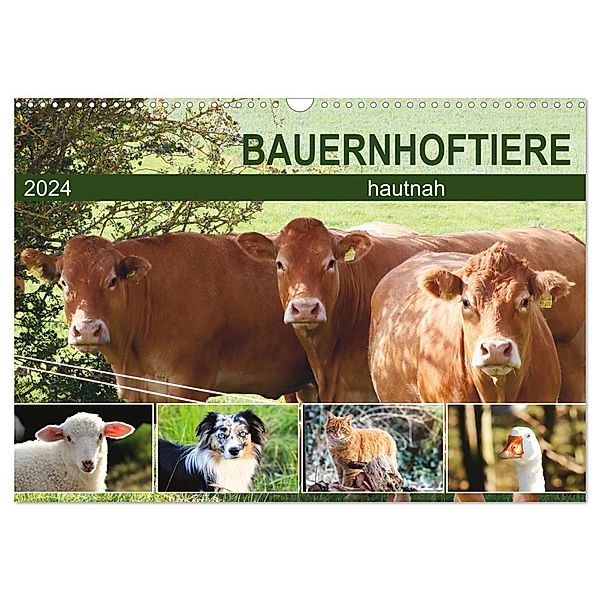Bauernhoftiere hautnah (Wandkalender 2024 DIN A3 quer), CALVENDO Monatskalender, Sabine Löwer