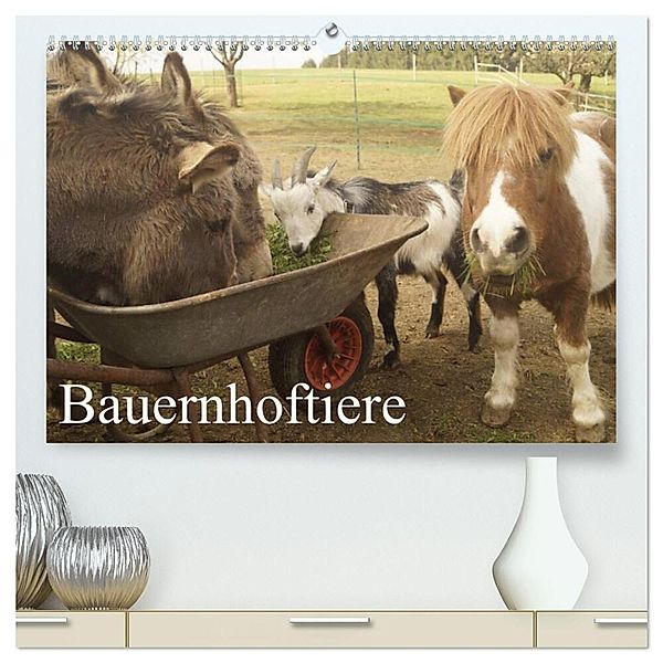 Bauernhoftiere (hochwertiger Premium Wandkalender 2024 DIN A2 quer), Kunstdruck in Hochglanz, Michael Gsödl