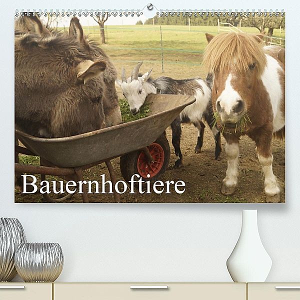 Bauernhoftiere (Premium-Kalender 2020 DIN A2 quer), Michael Gsödl