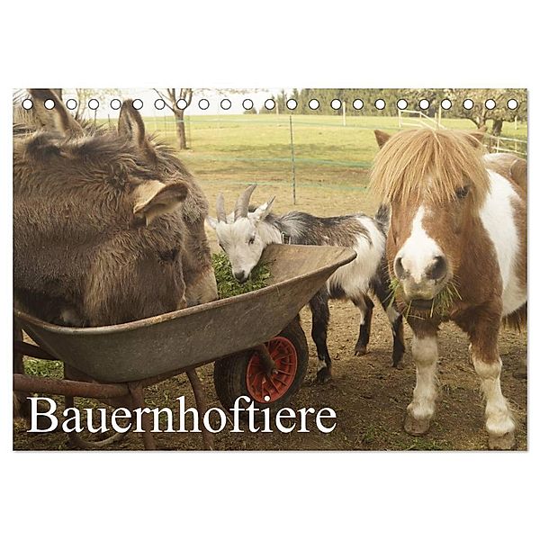 Bauernhoftiere (Tischkalender 2024 DIN A5 quer), CALVENDO Monatskalender, Michael Gsödl