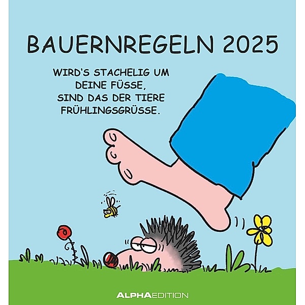 Bauernregeln 2025 - Postkarten-Kalender - Kalender-mit-Postkarten - zum-raustrennen - 16x17