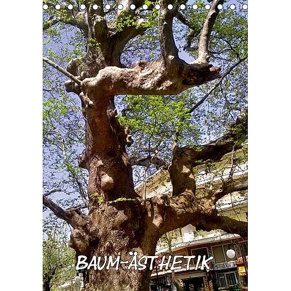 Baum-Ästhetik (Tischkalender 2018 DIN A5 hoch), Helmut Schneller