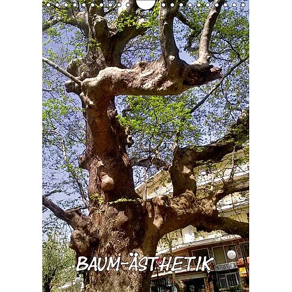 Baum-Ästhetik (Wandkalender 2018 DIN A4 hoch), Helmut Schneller