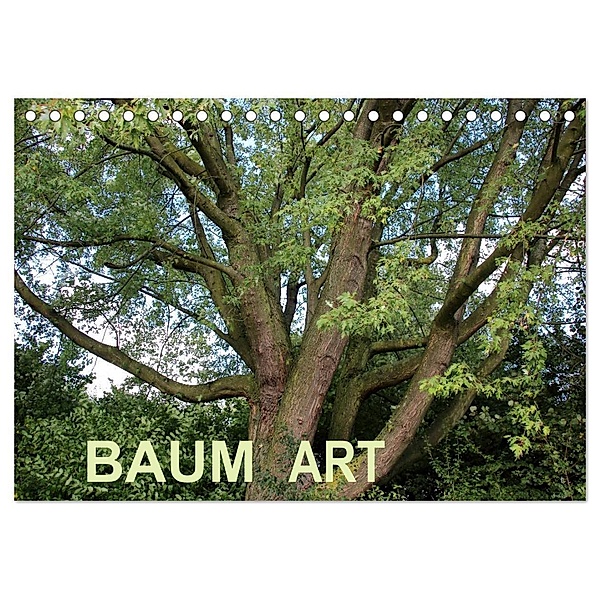 Baum Art (Tischkalender 2024 DIN A5 quer), CALVENDO Monatskalender, Andrea Ganz