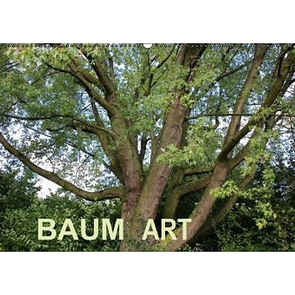 Baum Art (Wandkalender 2016 DIN A2 quer), Andrea Ganz