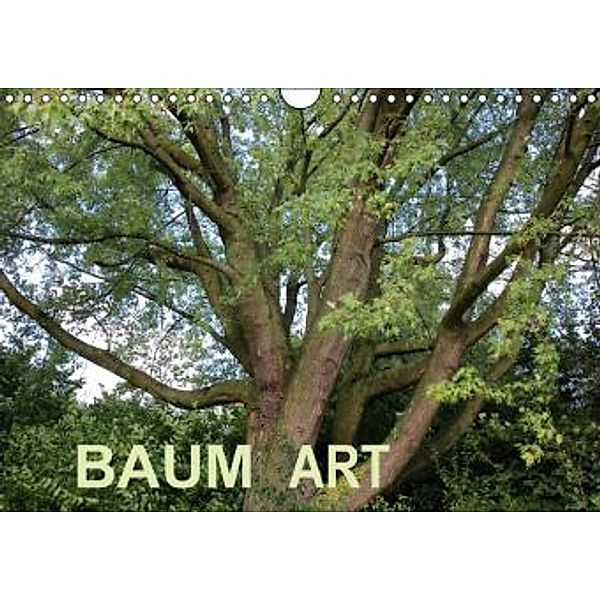 Baum Art (Wandkalender 2016 DIN A4 quer), Andrea Ganz