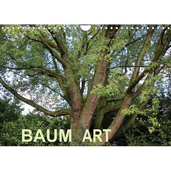 Baum Art (Wandkalender 2022 DIN A4 quer), Andrea Ganz