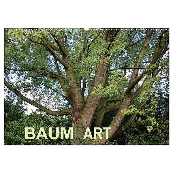 Baum Art (Wandkalender 2024 DIN A2 quer), CALVENDO Monatskalender, Andrea Ganz