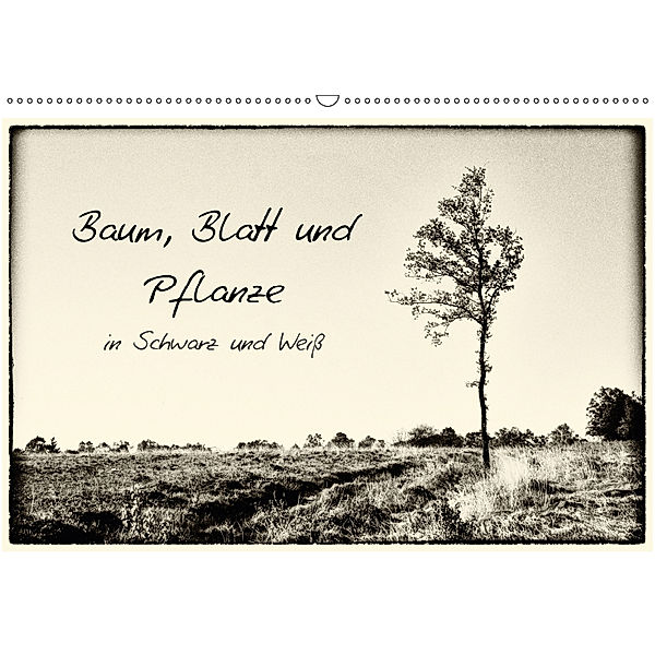 Baum, Blatt und Pflanze in Schwarz und Weiß (Wandkalender 2018 DIN A2 quer), Michael Schnell