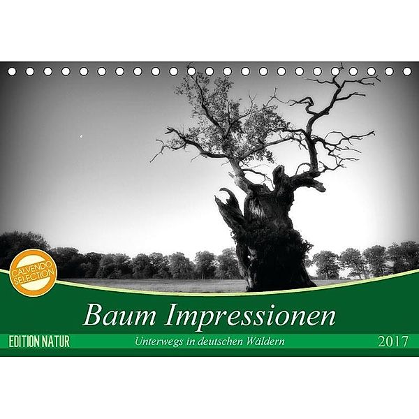 Baum Impressionen (Tischkalender 2017 DIN A5 quer), Holger Heinemann