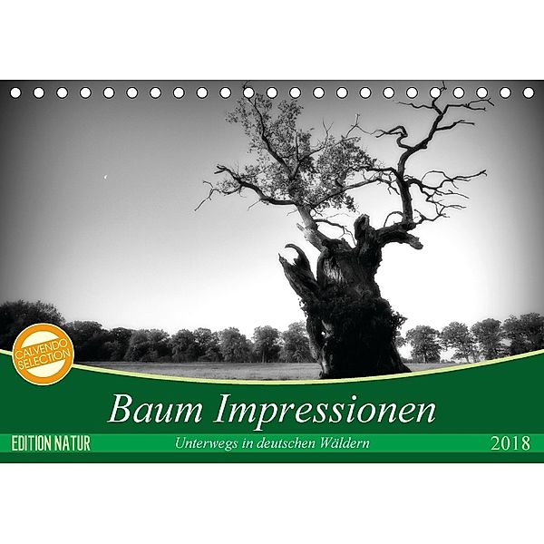 Baum Impressionen (Tischkalender 2018 DIN A5 quer), Holger Heinemann