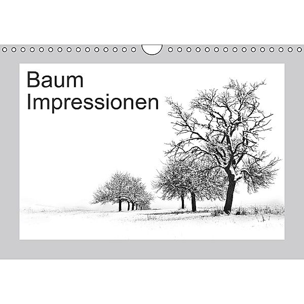 Baum Impressionen (Wandkalender 2014 DIN A4 quer), Heidi Brausch