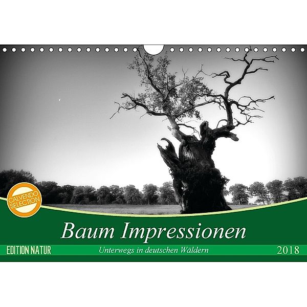 Baum Impressionen (Wandkalender 2018 DIN A4 quer), Holger Heinemann
