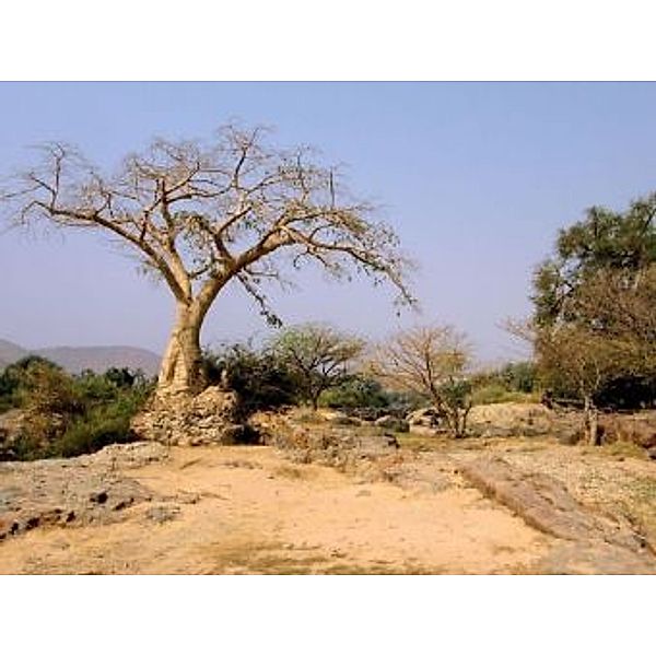 Baum in Wüste in Namibia - 100 Teile (Puzzle)