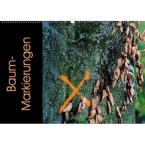 Baum-Markierungen (Wandkalender 2017 DIN A2 quer), Reinhold Herrmann