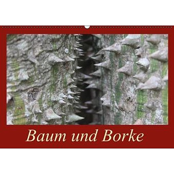 Baum und Borke (Wandkalender 2015 DIN A2 quer), Bettina Schneider