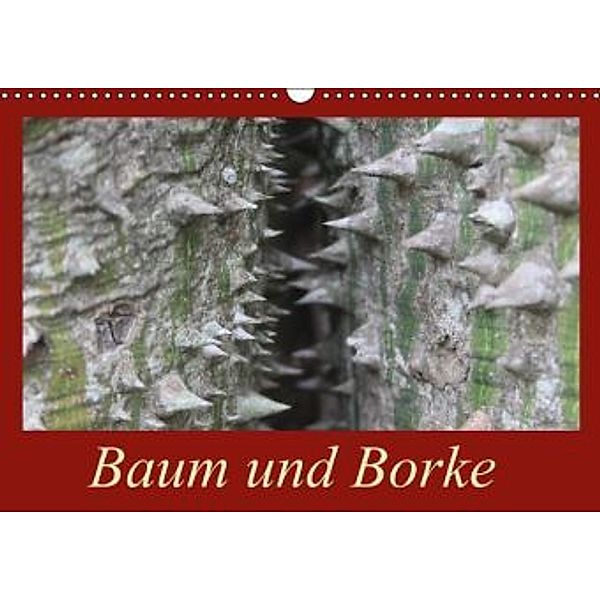 Baum und Borke (Wandkalender 2015 DIN A3 quer), Bettina Schneider
