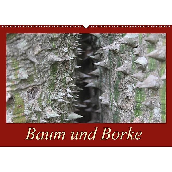 Baum und Borke (Wandkalender 2017 DIN A2 quer), Bettina Schneider