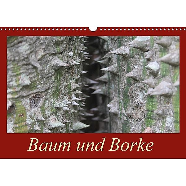Baum und Borke (Wandkalender 2018 DIN A3 quer), Bettina Schneider