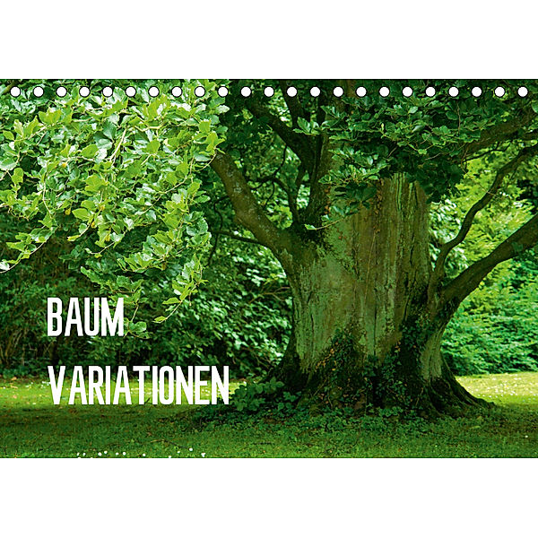 Baum-Variationen (Tischkalender 2019 DIN A5 quer), Joachim Barig