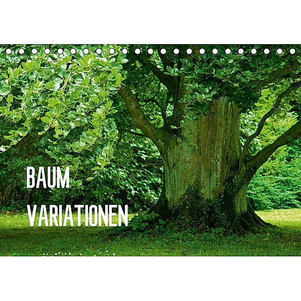 Baum-Variationen (Tischkalender 2020 DIN A5 quer), Joachim Barig