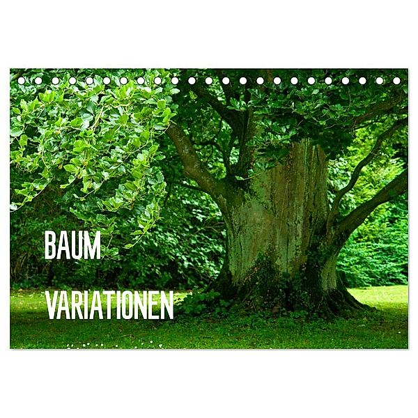 Baum-Variationen (Tischkalender 2024 DIN A5 quer), CALVENDO Monatskalender, Joachim Barig