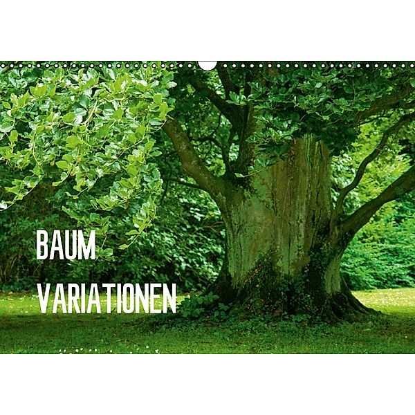 Baum-Variationen (Wandkalender 2014 DIN A3 quer), Joachim Barig