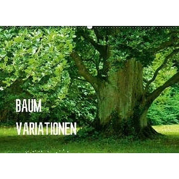 Baum-Variationen (Wandkalender 2016 DIN A2 quer), Joachim Barig