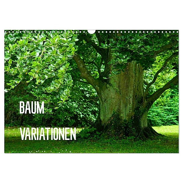 Baum-Variationen (Wandkalender 2024 DIN A3 quer), CALVENDO Monatskalender, Joachim Barig