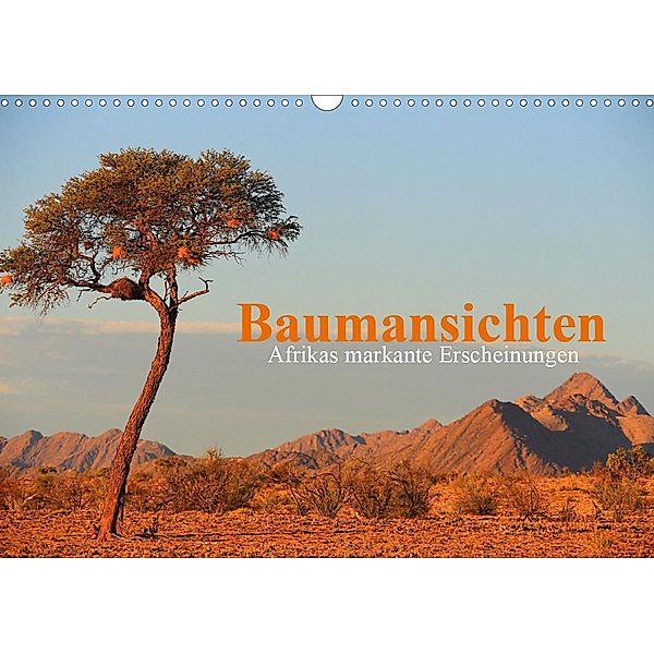 Baumansichten - Afrikas markante Erscheinungen (Wandkalender 2020 DIN A3 quer), Werner Altner