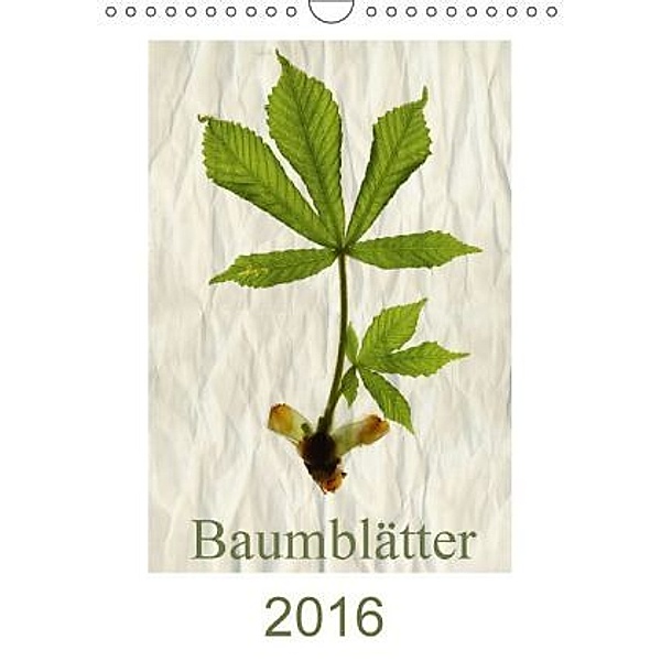 Baumblätter 2016 (Wandkalender 2016 DIN A4 hoch), Hernegger Arnold Joseph