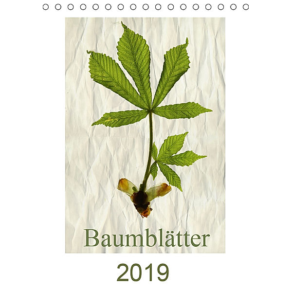 Baumblätter 2019 (Tischkalender 2019 DIN A5 hoch), Hernegger Arnold Joseph