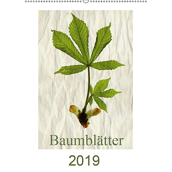 Baumblätter 2019 (Wandkalender 2019 DIN A2 hoch), Hernegger Arnold Joseph