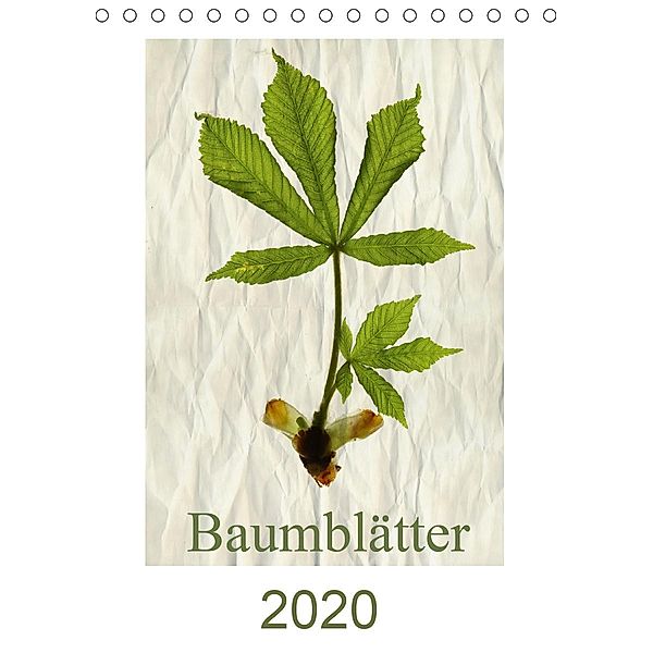 Baumblätter 2020 (Tischkalender 2020 DIN A5 hoch), Hernegger Arnold Joseph