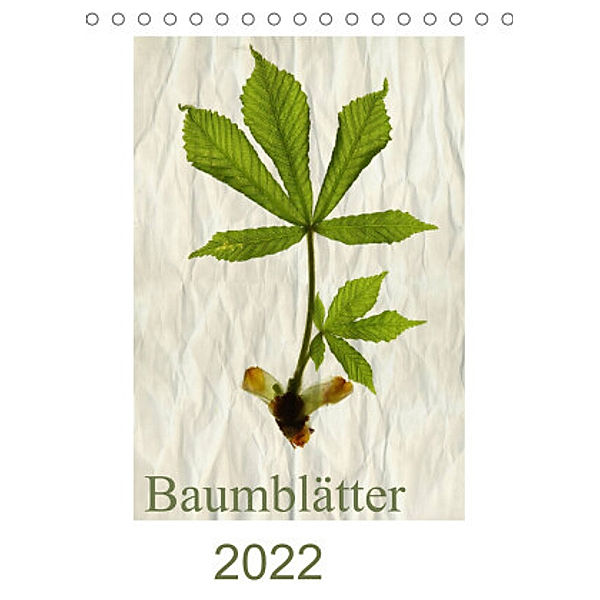 Baumblätter 2022 (Tischkalender 2022 DIN A5 hoch), Hernegger Arnold Joseph