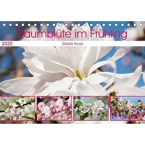 Baumblüte im Frühling (Tischkalender 2020 DIN A5 quer), Gisela Kruse