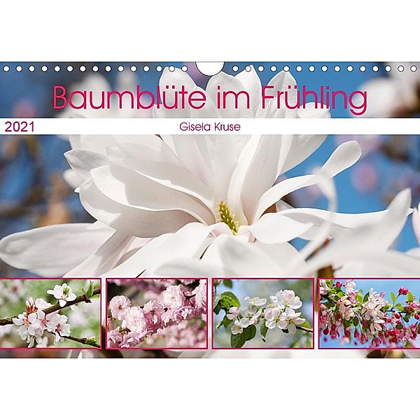 Baumblüte im Frühling (Wandkalender 2021 DIN A4 quer), Gisela Kruse