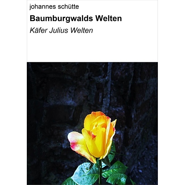 Baumburgwalds Welten, Johannes Schütte