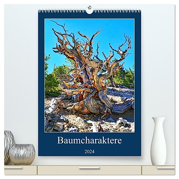 Baumcharaktere (hochwertiger Premium Wandkalender 2024 DIN A2 hoch), Kunstdruck in Hochglanz, Andreas Struve