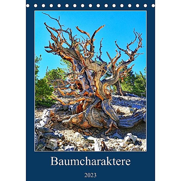 Baumcharaktere (Tischkalender 2023 DIN A5 hoch), Andreas Struve