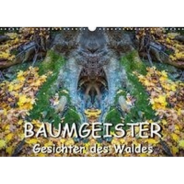 Baumgeister, Gesichter des Waldes (Wandkalender 2016 DIN A3 quer), Jürgen Döring