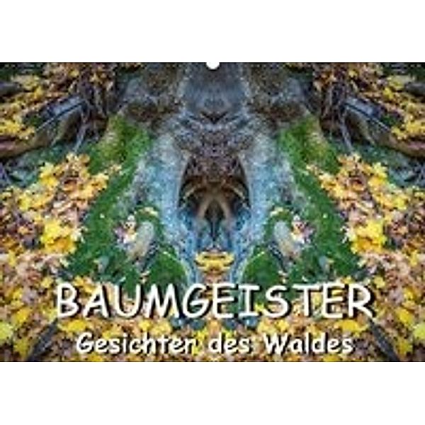 Baumgeister, Gesichter des Waldes (Wandkalender 2016 DIN A2 quer), Jürgen Döring