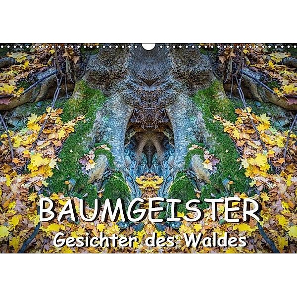 Baumgeister, Gesichter des Waldes (Wandkalender 2017 DIN A3 quer), Jürgen Döring